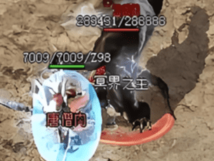新开传奇